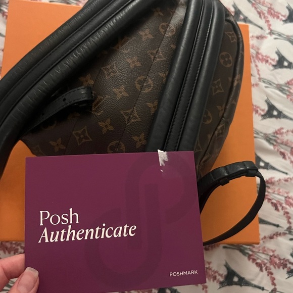 Louis Vuitton Palm spring Pm Brown Monogram Backpack! In amazing condition! main image 10